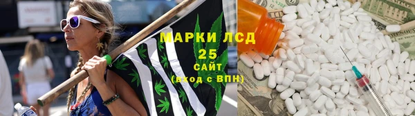 ГАЛЛЮЦИНОГЕННЫЕ ГРИБЫ Майский