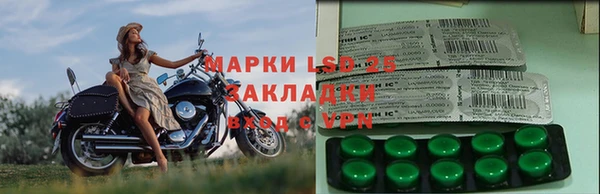 молекула духа Магадан