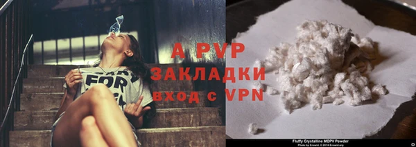 молекула духа Магадан
