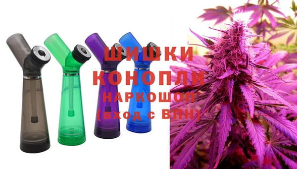 молекула духа Магадан