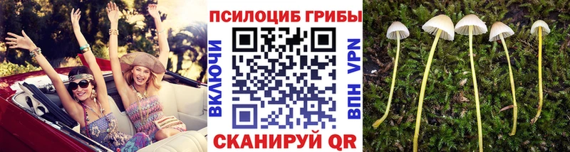мега зеркало Липецк Галлюциногенные грибы Cubensis где найти